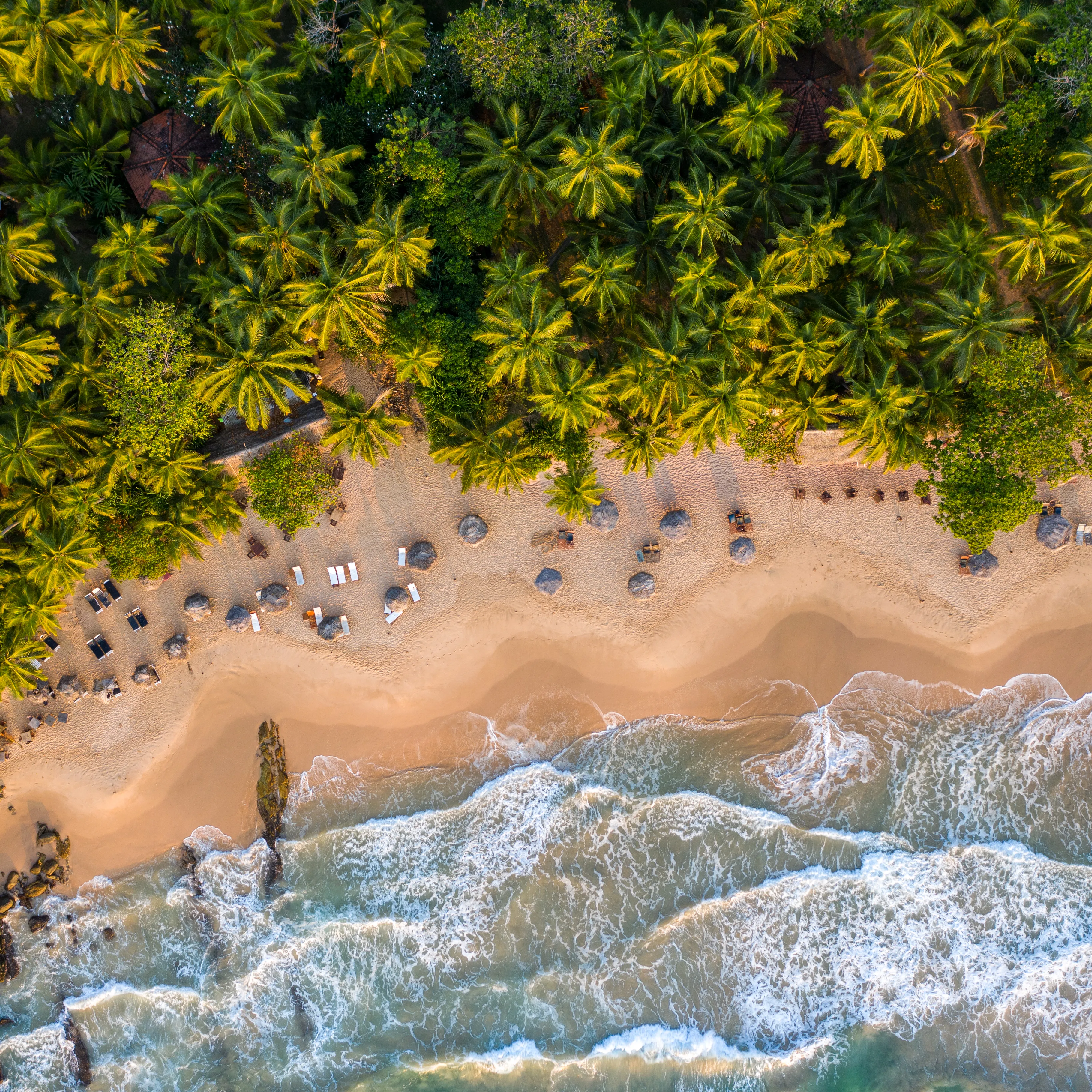 Beachside Networking