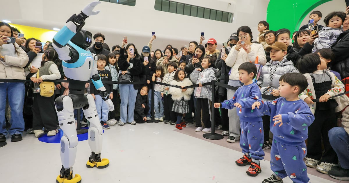 Humanoid Robot Experience