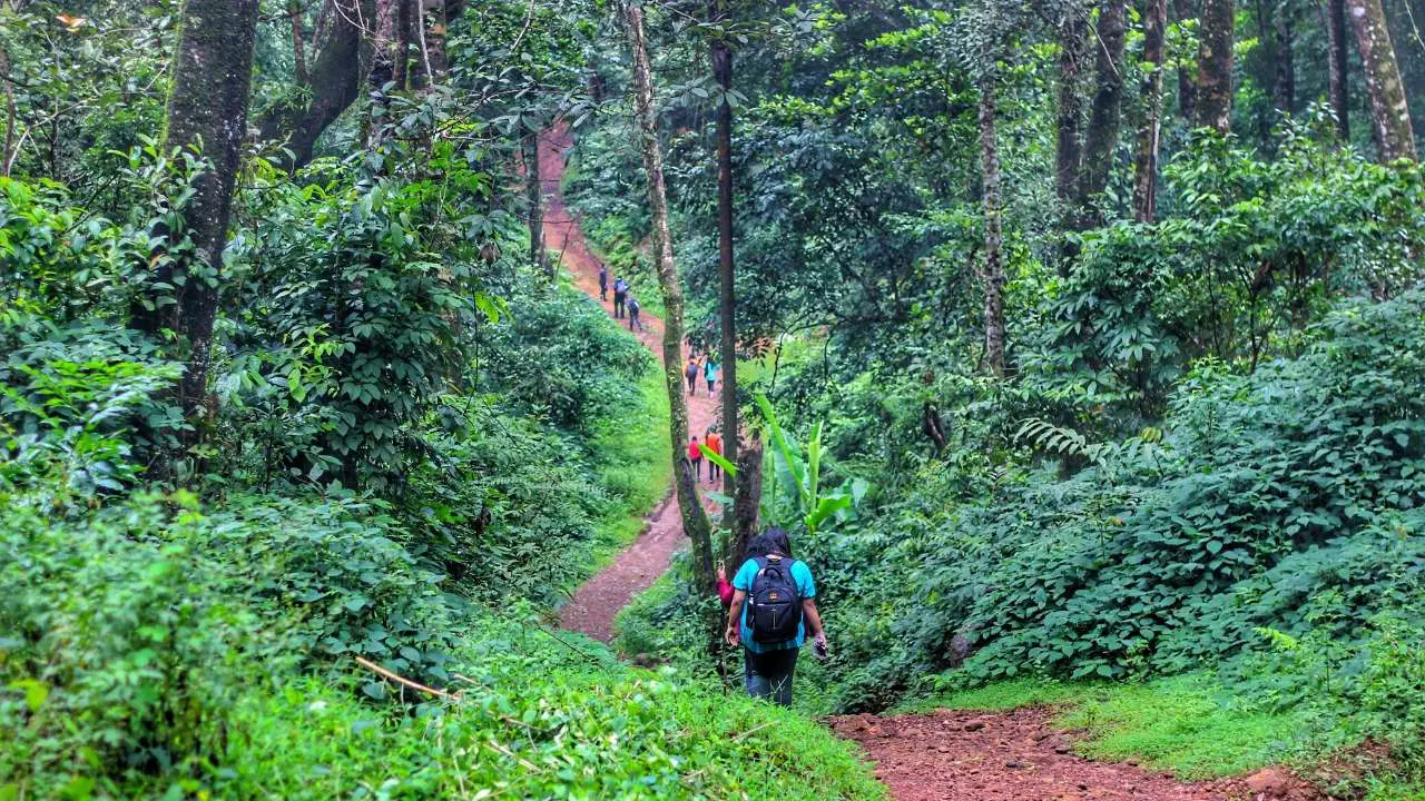 Cultural engagement programs — Munnar corporate offsite