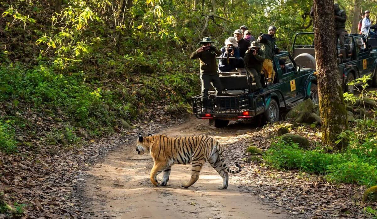 Jim Corbett landscape — forest and valley context for corporate retreat and team building offsites