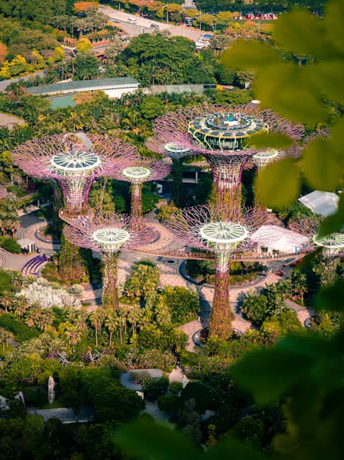 Gardens by the Bay