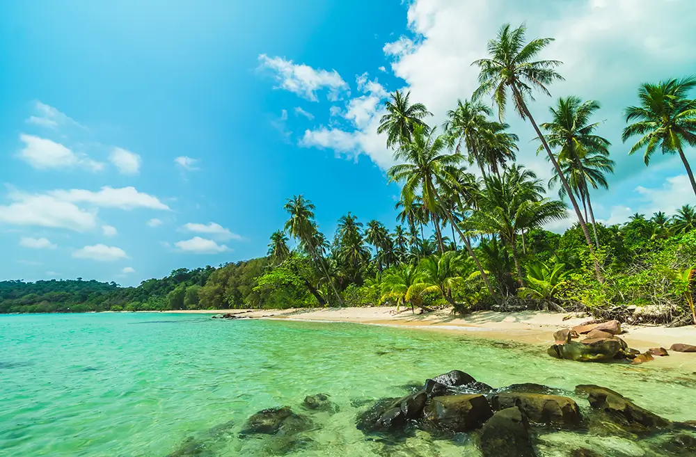 Team Retreats — corporate offsite format in Varkala