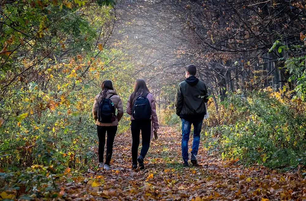 Guided nature walks in forest settings — calm outdoor experiences between offsite sessions in Dandeli