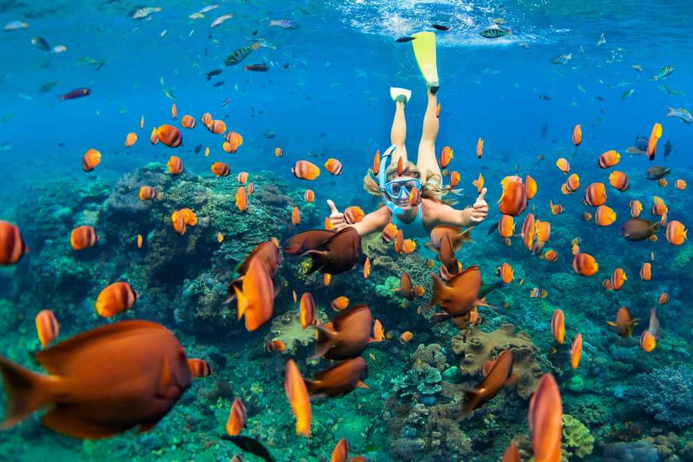 Phuket Snorkelling
